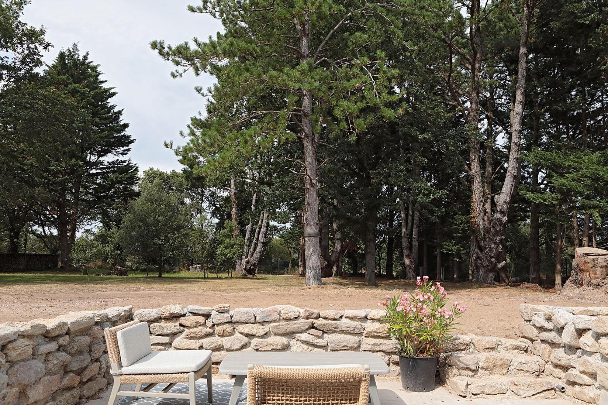 Pierres Blanches - Bed & Breakfast